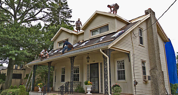 Quick and Trustworthy Emergency Roof Repair Services in Heathrow, FL