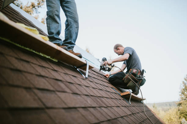 Quick and Trustworthy Emergency Roof Repair Services in Heathrow, FL